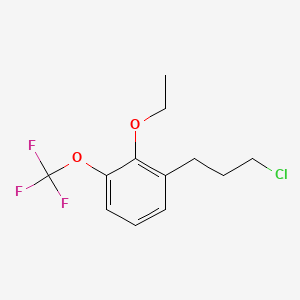 molecular formula C12H14ClF3O2 B14053035 1-(3-Chloropropyl)-2-ethoxy-3-(trifluoromethoxy)benzene 