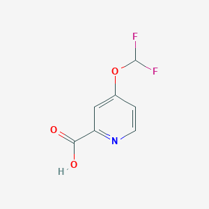 molecular formula C7H5F2NO3 B1405336 4-(二氟甲氧基)吡啶甲酸 CAS No. 1707365-38-5