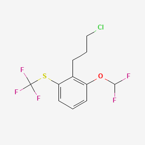 1-(3-Chloropropyl)-2-(difluoromethoxy)-6-(trifluoromethylthio)benzene