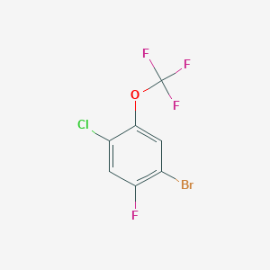 molecular formula C7H2BrClF4O B1405523 1-Bromo-4-chloro-2-fluoro-5-(trifluoromethoxy)benzene CAS No. 1417569-87-9