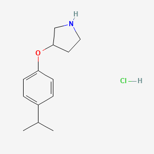 molecular formula C13H20ClNO B1405706 3-(4-Isopropylphenoxy)pyrrolidine hydrochloride CAS No. 1449117-29-6