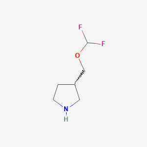 molecular formula C6H11F2NO B14057462 (S)-3-((Difluoromethoxy)methyl)pyrrolidine CAS No. 2007919-83-5