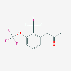 molecular formula C11H8F6O2 B14057473 1-(3-(Trifluoromethoxy)-2-(trifluoromethyl)phenyl)propan-2-one 