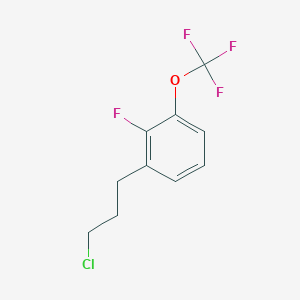 molecular formula C10H9ClF4O B14057530 1-(3-Chloropropyl)-2-fluoro-3-(trifluoromethoxy)benzene 