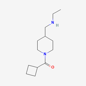 molecular formula C13H24N2O B1405951 [(1-Cyclobutanecarbonylpiperidin-4-yl)methyl](ethyl)amine CAS No. 1601420-34-1