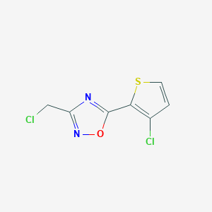 molecular formula C7H4Cl2N2OS B1405975 3-(氯甲基)-5-(3-氯噻吩-2-基)-1,2,4-噁二唑 CAS No. 1509882-79-4