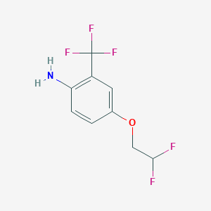 molecular formula C9H8F5NO B1406031 4-(2,2-Difluoroethoxy)-2-trifluoromethylphenylamine CAS No. 1242458-44-1