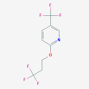 molecular formula C9H7F6NO B1406272 5-(Trifluoromethyl)-2-(3,3,3-trifluoropropoxy)pyridine CAS No. 1779123-63-5