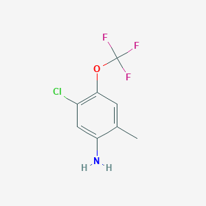 molecular formula C8H7ClF3NO B1406352 5-氯-2-甲基-4-(三氟甲氧基)苯胺 CAS No. 1706461-21-3