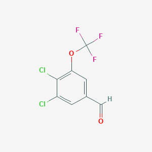 molecular formula C8H3Cl2F3O2 B1406361 3,4-二氯-5-(三氟甲氧基)苯甲醛 CAS No. 1706430-32-1