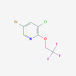 molecular formula C7H4BrClF3NO B1406434 5-溴-3-氯-2-(2,2,2-三氟乙氧基)吡啶 CAS No. 1256822-84-0