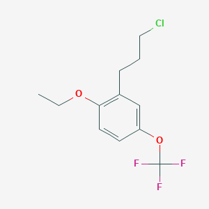 molecular formula C12H14ClF3O2 B14064470 1-(3-Chloropropyl)-2-ethoxy-5-(trifluoromethoxy)benzene 