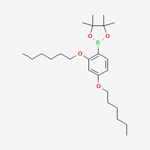 molecular formula C24H41BO4 B1406476 2,4-双（己氧基）苯硼酸二缩甲苯酯 CAS No. 1391734-70-5