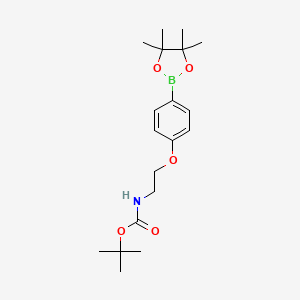 molecular formula C19H30BNO5 B1406502 {2-[4-(4,4,5,5-Tetramethyl-[1,3,2]dioxaborolan-2-yl)-phenoxy]-ethyl}-carbamic acid tert-butyl ester CAS No. 1505515-74-1
