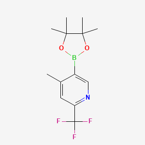 molecular formula C13H17BF3NO2 B1406516 4-Methyl-5-(4,4,5,5-tetramethyl-1,3,2-dioxaborolan-2-yl)-2-(trifluoromethyl)pyridine CAS No. 1612287-99-6