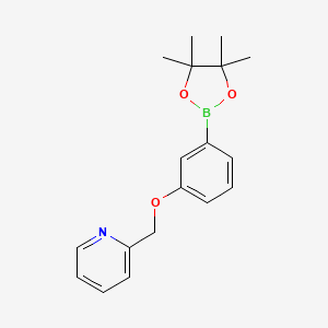 molecular formula C18H22BNO3 B1406524 2-((3-(4,4,5,5-Tetramethyl-1,3,2-dioxaborolan-2-yl)phenoxy)methyl)pyridine CAS No. 1610521-29-3