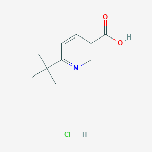 molecular formula C10H14ClNO2 B1406544 6-(Tert-butyl)nicotinic acid hydrochloride CAS No. 1820740-37-1