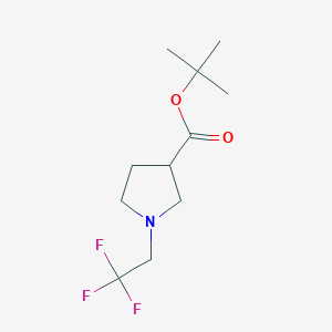 molecular formula C11H18F3NO2 B1406691 叔丁基 1-(2,2,2-三氟乙基)吡咯烷-3-羧酸酯 CAS No. 1803608-99-2