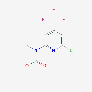 molecular formula C9H8ClF3N2O2 B1406693 Methyl (6-chloro-4-(trifluoromethyl)pyridin-2-ylmethylcarbamate CAS No. 1160994-80-8