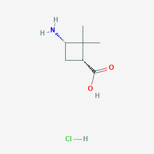 molecular formula C7H14ClNO2 B1406750 cis-3-Amino-2,2-dimethylcyclobutanecarboxylic acid hydrochloride CAS No. 92812-22-1