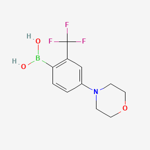 molecular formula C11H13BF3NO3 B14067620 (4-Morpholino-2-(trifluoromethyl)phenyl)boronic acid 