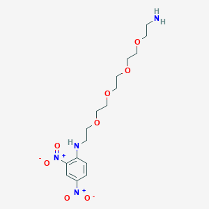 molecular formula C16H26N4O8 B14067755 N1-(2,4-Dinitrophenyl)-3,6,9,12-tetraoxatetradecane-1,14-diamine 