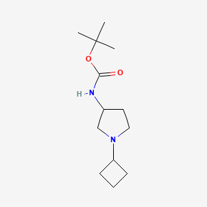 molecular formula C13H24N2O2 B1406815 tert-Butyl 1-Cyclobutylpyrrolidin-3-ylcarbamate CAS No. 1336912-71-0