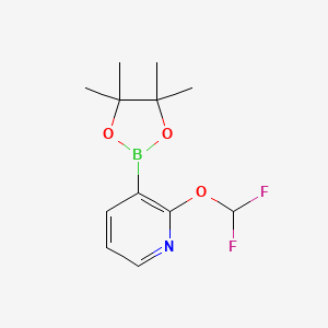 molecular formula C12H16BF2NO3 B1406877 2-(二氟甲氧基)-3-(4,4,5,5-四甲基-1,3,2-二氧杂硼环-2-基)吡啶 CAS No. 1425334-94-6