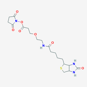 2,5-Dioxopyrrolidin-1-yl 3-(2-(5-(2-oxohexahydro-1H-thieno[3,4-d]imidazol-4-yl)pentanamido)ethoxy)propanoate