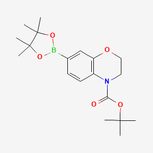 molecular formula C19H28BNO5 B1406972 tert-butyl 7-(4,4,5,5-tetramethyl-1,3,2-dioxaborolan-2-yl)-2H-benzo[b][1,4]oxazine-4(3H)-carboxylate CAS No. 1467057-57-3