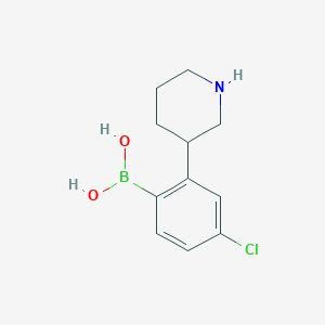 molecular formula C11H15BClNO2 B14071467 (4-Chloro-2-(piperidin-3-yl)phenyl)boronic acid 