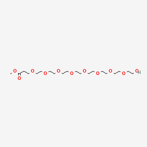 molecular formula C20H40O11 B14072117 Methyl 3-[2-[2-[2-[2-[2-[2-[2-(2-hydroxyethoxy)ethoxy]ethoxy]ethoxy]ethoxy]ethoxy]ethoxy]ethoxy]propanoate 