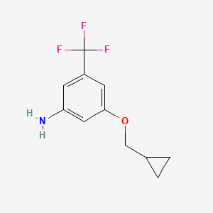 molecular formula C11H12F3NO B1407299 3-(Cyclopropylmethoxy)-5-(trifluoromethyl)benzenamine CAS No. 1369821-28-2