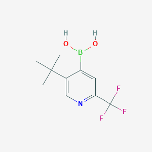 molecular formula C10H13BF3NO2 B14073621 (5-(tert-Butyl)-2-(trifluoromethyl)pyridin-4-yl)boronic acid 