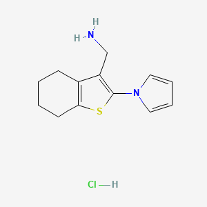 molecular formula C13H17ClN2S B1407365 {[2-(1H-pyrrol-1-yl)-4,5,6,7-tétrahydro-1-benzothién-3-yl]méthyl}amine chlorhydrate CAS No. 1005214-01-6