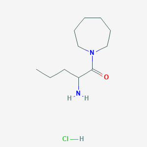 molecular formula C11H23ClN2O B1407368 [1-(Azepan-1-ylcarbonyl)butyl]amine hydrochloride CAS No. 2197421-18-2