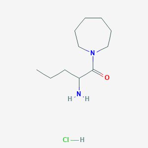 molecular formula C11H23ClN2O B1407368 [1-(Azepan-1-ilcarbonil)butil]amina clorhidrato CAS No. 2197421-18-2