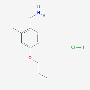 B1407377 (2-Methyl-4-propoxyphenyl)methanamine hydrochloride CAS No. 1797595-88-0