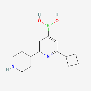 (2-Cyclobutyl-6-(piperidin-4-yl)pyridin-4-yl)boronic acid