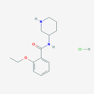 molecular formula C14H21ClN2O2 B1407392 2-乙氧基-N-哌啶-3-基苯甲酰胺盐酸盐 CAS No. 1581552-31-9
