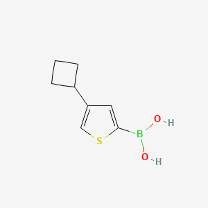 (4-Cyclobutylthiophen-2-yl)boronic acid