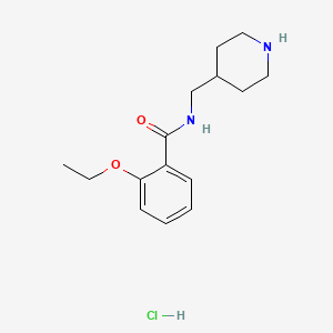 molecular formula C15H23ClN2O2 B1407503 2-乙氧基-N-(哌啶-4-基甲基)苯甲酰胺盐酸盐 CAS No. 1638612-82-4