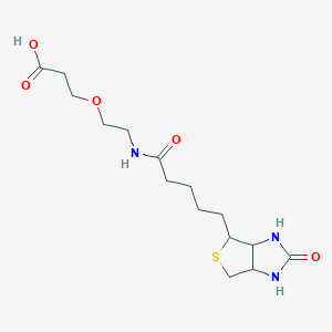 molecular formula C15H25N3O5S B14075836 3-(2-(5-(2-Oxohexahydro-1H-thieno[3,4-d]imidazol-4-yl)pentanamido)ethoxy)propanoic acid 