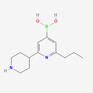 molecular formula C13H21BN2O2 B14076765 (2-(Piperidin-4-yl)-6-propylpyridin-4-yl)boronic acid 