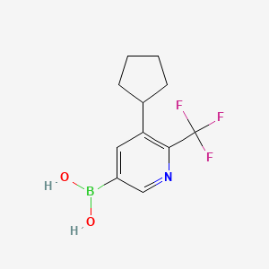 molecular formula C11H13BF3NO2 B14077626 (5-Cyclopentyl-6-(trifluoromethyl)pyridin-3-yl)boronic acid 