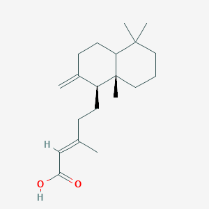 molecular formula C20H32O2 B14077694 Anticopalic acid 