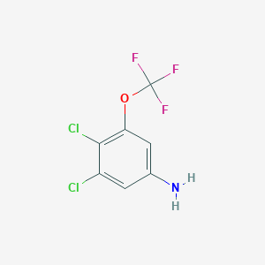 B1407771 3,4-Dichloro-5-(trifluoromethoxy)aniline CAS No. 1706430-28-5