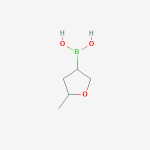 (5-Methyltetrahydrofuran-3-yl)boronic acid