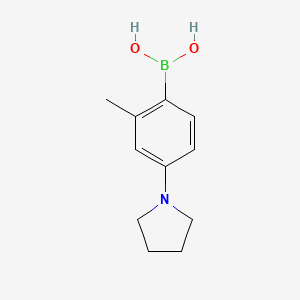 (2-Methyl-4-(pyrrolidin-1-yl)phenyl)boronic acid