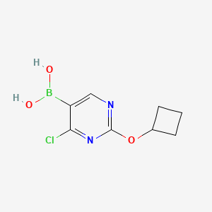 (4-Chloro-2-cyclobutoxypyrimidin-5-yl)boronic acid